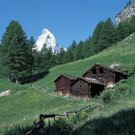 Apollo By Interhome * Zermatt